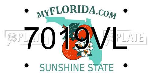 7019VL Florida License Plate