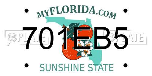 701EB5 Florida License Plate