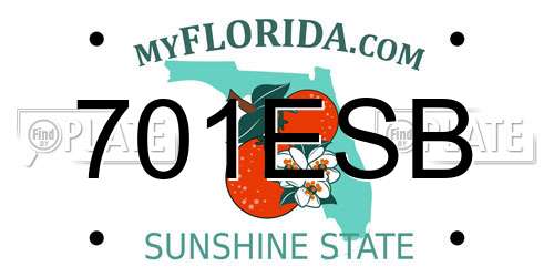 701ESB Florida License Plate