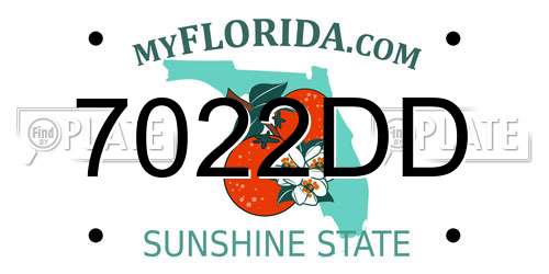 7022DD Florida License Plate