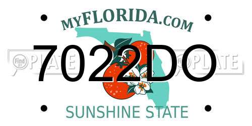 7022DO Florida License Plate