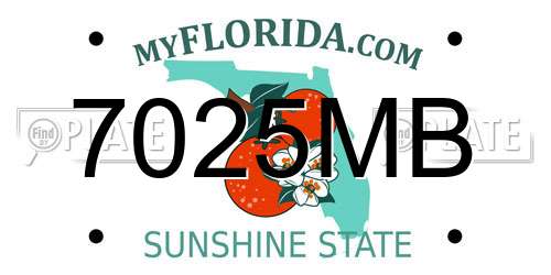 7025MB Florida License Plate