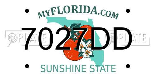 7027DD Florida License Plate
