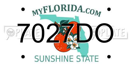 7027DO Florida License Plate