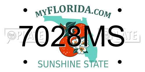 7028MS Florida License Plate