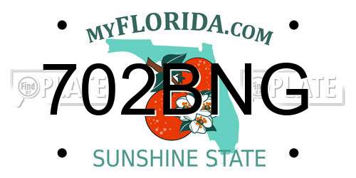 702BNG Florida License Plate