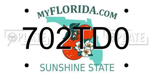 702TD0 Florida License Plate