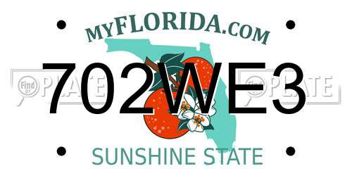 702WE3 Florida License Plate
