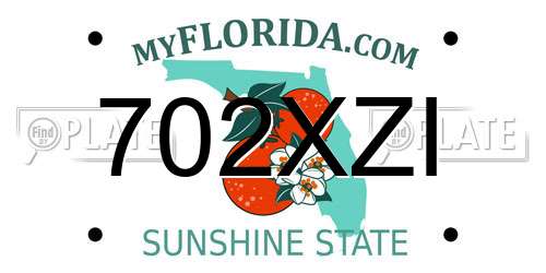 702XZI Florida License Plate