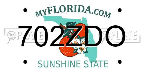702ZDO Florida License Plate