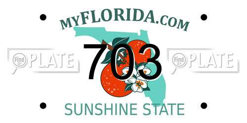 703 Florida License Plate
