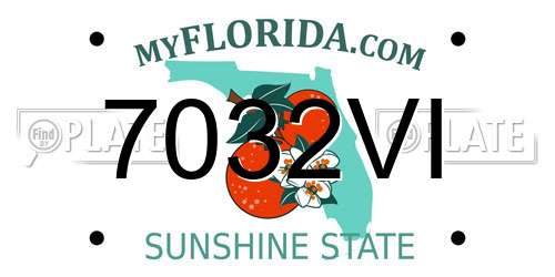 7032VI Florida License Plate