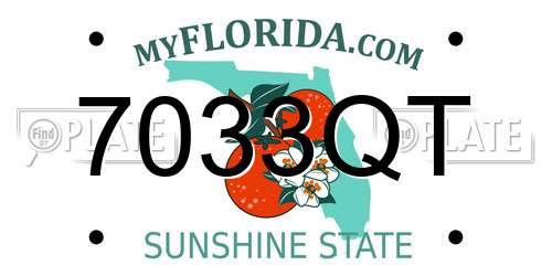 7033QT Florida License Plate