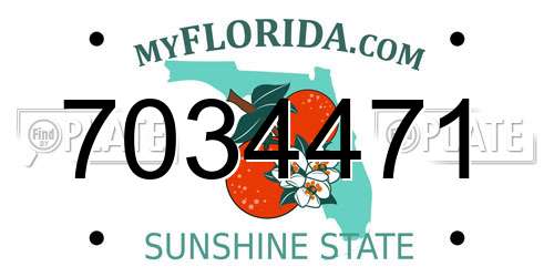 7034471 Florida License Plate