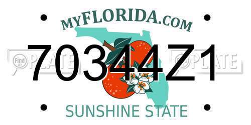 70344Z1 Florida License Plate