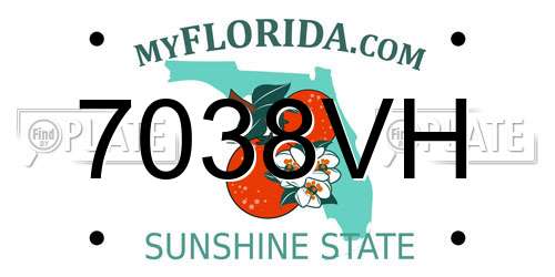 7038VH Florida License Plate
