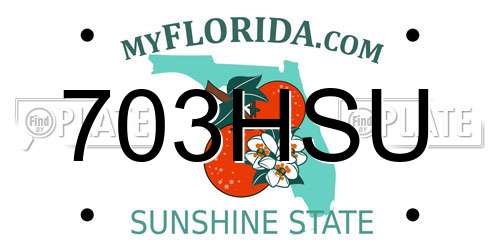 703HSU Florida License Plate