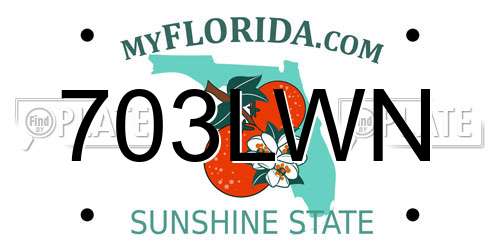 703LWN Florida License Plate
