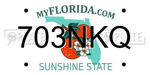 703NKQ Florida License Plate