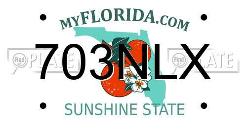 703NLX Florida License Plate