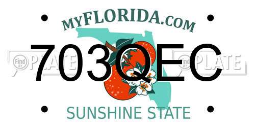 703QEC Florida License Plate