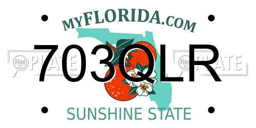703QLR Florida License Plate