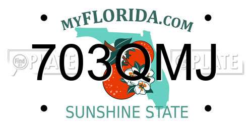 703QMJ Florida License Plate