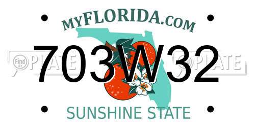 703W32 Florida License Plate