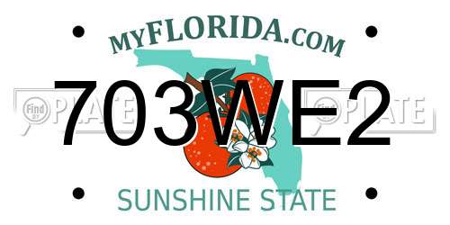703WE2 Florida License Plate