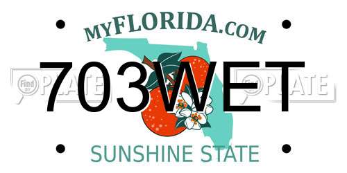 703WET Florida License Plate