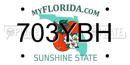 703YBH Florida License Plate