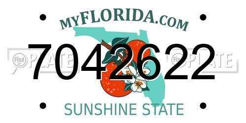 7042622 Florida License Plate