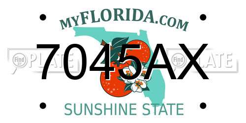 7045AX Florida License Plate
