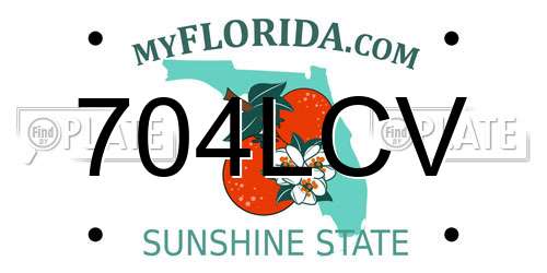 704LCV Florida License Plate
