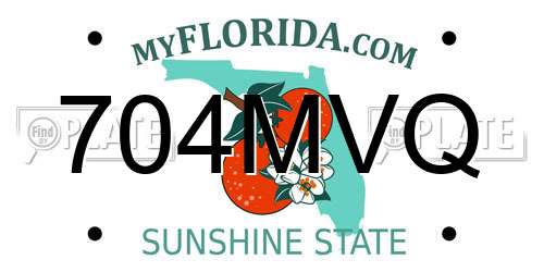 704MVQ Florida License Plate