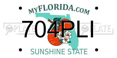 704PLI Florida License Plate