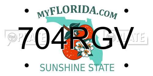 704RGV Florida License Plate