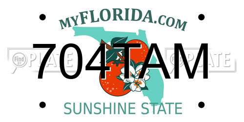 704TAM Florida License Plate