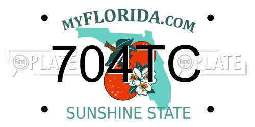 704TC Florida License Plate