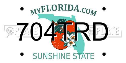 704TRD Florida License Plate