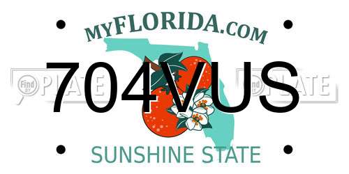 704VUS Florida License Plate
