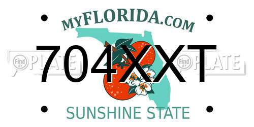 704XXT Florida License Plate