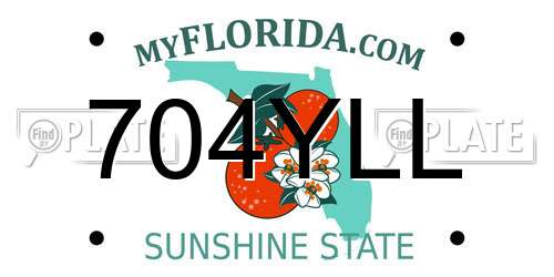 704YLL Florida License Plate