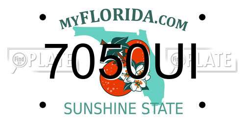 7050UI Florida License Plate