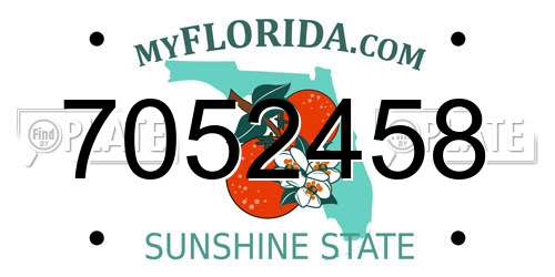 7052458 Florida License Plate