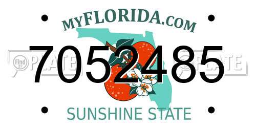 7052485 Florida License Plate