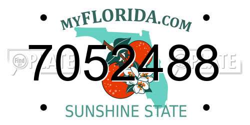 7052488 Florida License Plate