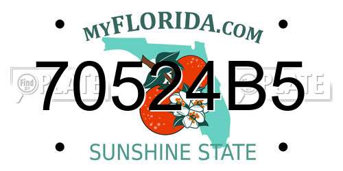 70524B5 Florida License Plate