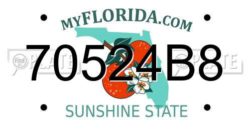 70524B8 Florida License Plate