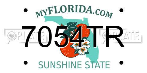 7054TR Florida License Plate